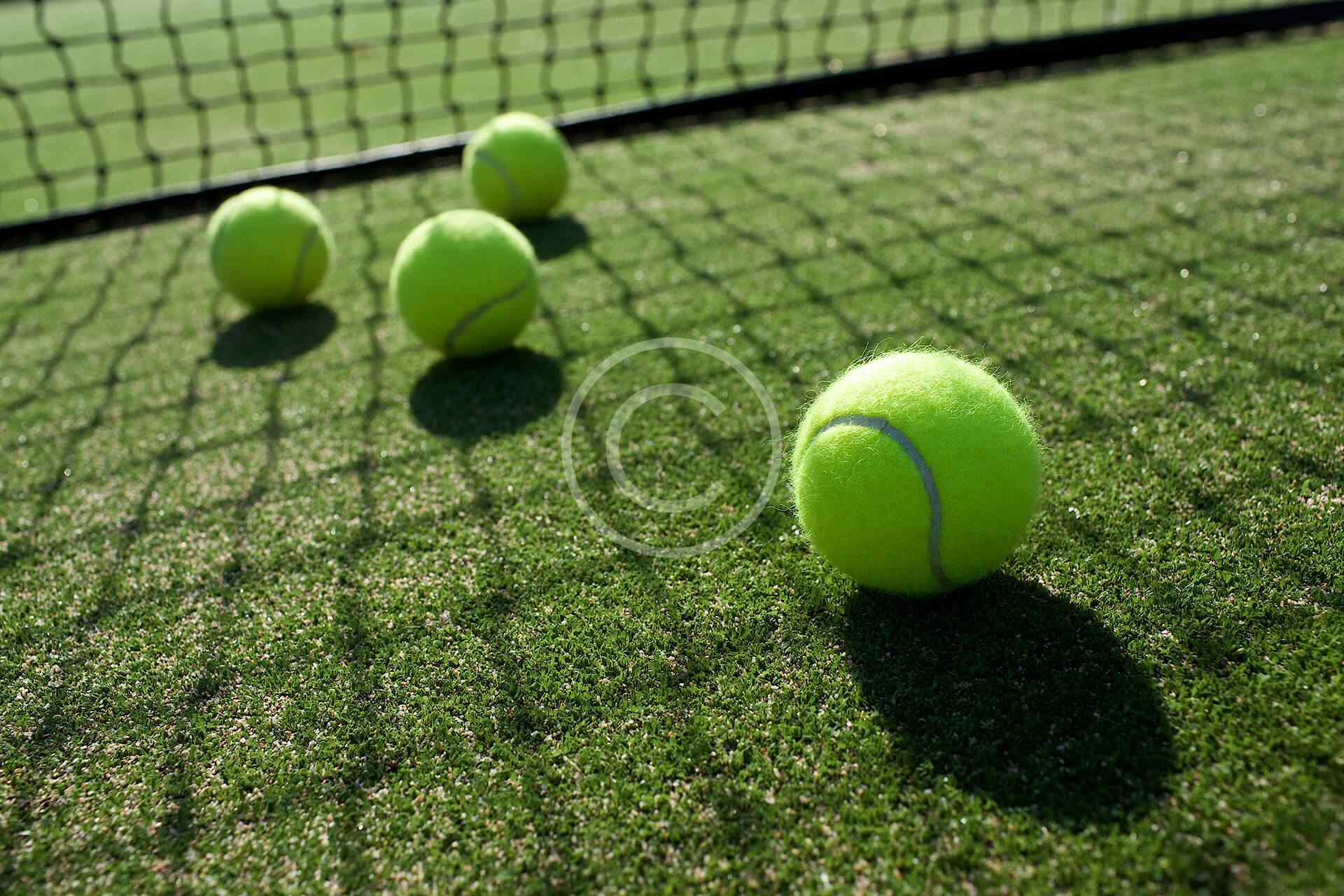 Courts only family membership